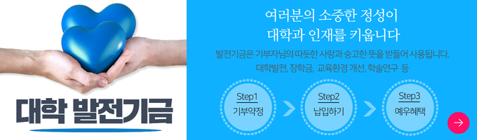 대학발전기금